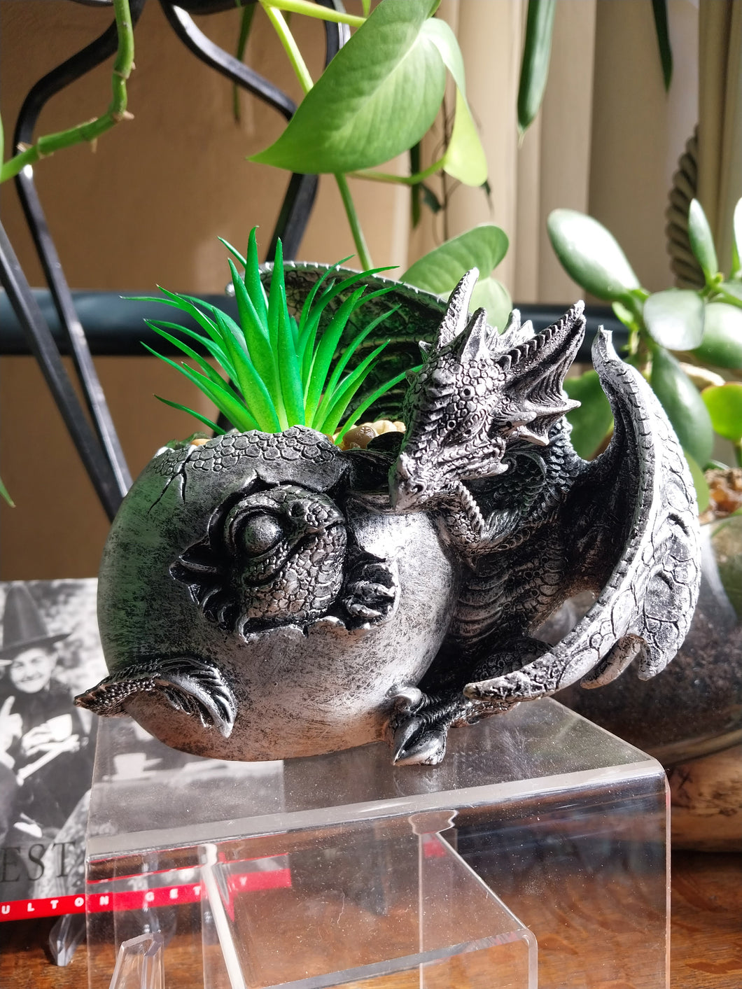 Silver OR Black Dragon With Plant