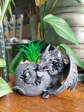 Load image into Gallery viewer, Silver OR Black Dragon With Plant
