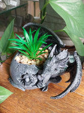 Load image into Gallery viewer, Silver OR Black Dragon With Plant
