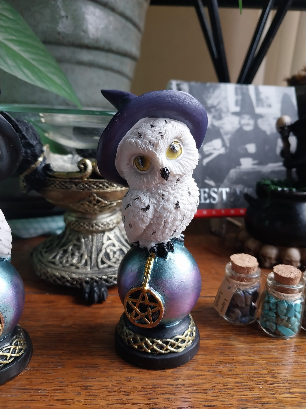 Owl With Witches Hat On Celtic Ball