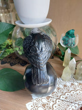 Load image into Gallery viewer, Raven on Skull Resin Statue
