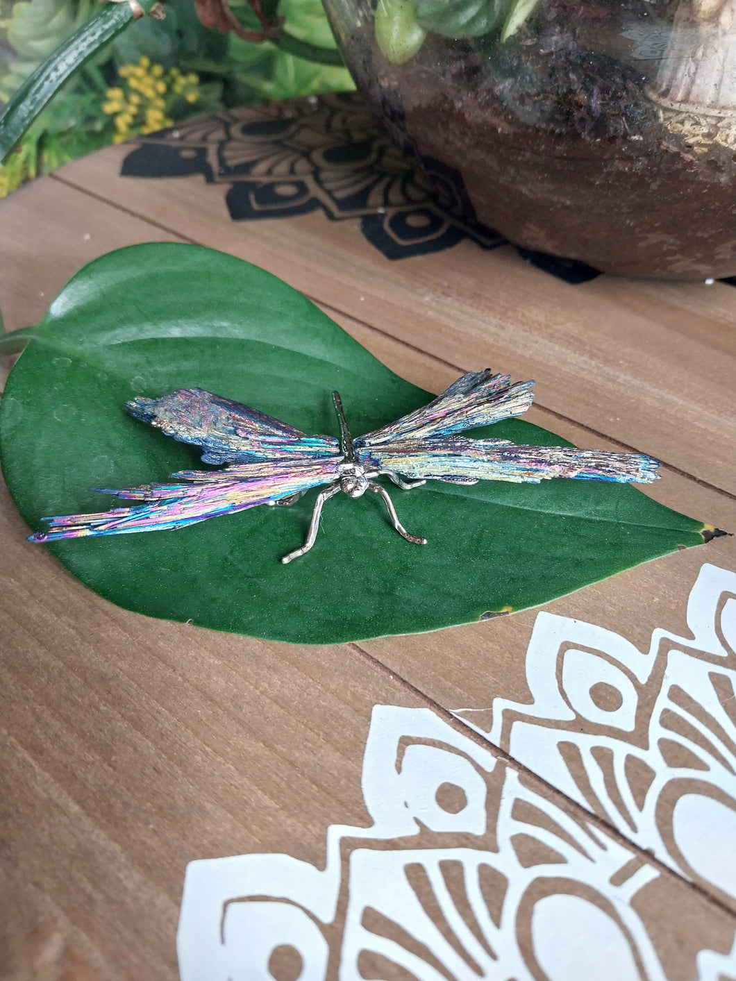 Multi Colour Electroplated Kyanite Dragonfly