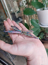 Load image into Gallery viewer, Multi Colour Electroplated Kyanite Dragonfly
