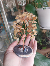 Load image into Gallery viewer, Citrine Crystal Tree
