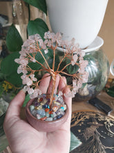 Load image into Gallery viewer, Rose Quartz Crystal Tree In Pot
