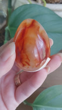 Load and play video in Gallery viewer, Carnelian Egg 5
