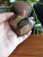 Load image into Gallery viewer, Dragon Septarian  Heart SH1
