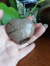 Load image into Gallery viewer, Dragon Septarian Heart SH9
