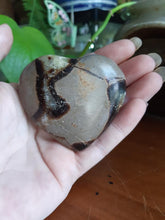 Load image into Gallery viewer, Dragon Septarian Heart SH4
