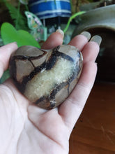 Load image into Gallery viewer, Dragon Septarian Heart SH7
