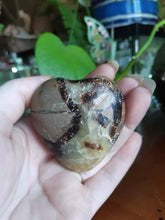 Load image into Gallery viewer, Dragon Septarian Heart SH8
