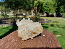 Load image into Gallery viewer, Vug Quartz Crystal Cluster
